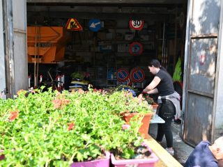 Ronco tanti collaboratori per la cura e la fioritura del paese