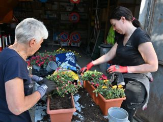 Ronco tanti collaboratori per la cura e la fioritura del paese