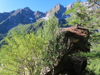 Franco Chiapetto alla Bocchetta di Pianei e Cima di Lasin da Lasinetto