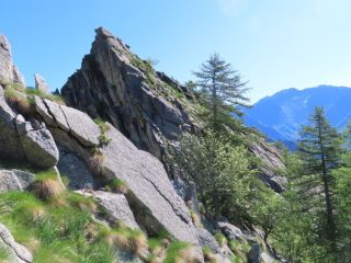 Franco Chiapetto alla Bocchetta di Pianei e Cima di Lasin da Lasinetto