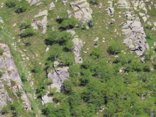 Franco Chiapetto alla Bocchetta di Pianei e Cima di Lasin da Lasinetto