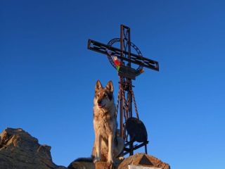 Argo in … Notturna alla Rosa dei Banchi