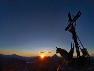 Argo in … Notturna alla Rosa dei Banchi