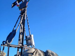 Argo in … Notturna alla Rosa dei Banchi