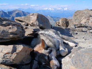 Argo in … Notturna alla Rosa dei Banchi