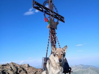 Argo in … Notturna alla Rosa dei Banchi
