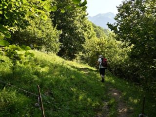 20 luglio 2026: immagini della Festa di Santa Margherita a Servino