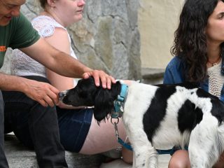 Scandosio, 25 luglio 2026: immagini della Festa di Sant'Anna