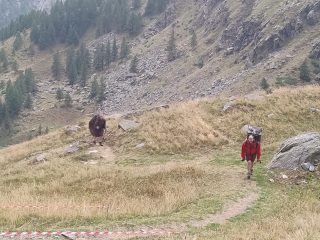 Immagini della Festa di San Besso al Santuario a cura di Alberto Lagna