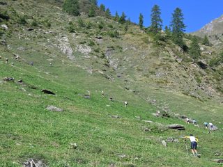 Piamprato, 13 settembre 2026: Concluso il circuito Valle Soana Trail Circus 2026 al Vertical Piamprato - Colle della Borra