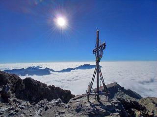 Argo e Dario: ritorno alla Rosa dei Banchi