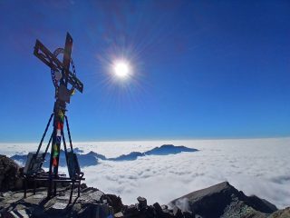 Argo e Dario: ritorno alla Rosa dei Banchi