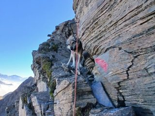 Argo e Dario: ritorno alla Rosa dei Banchi