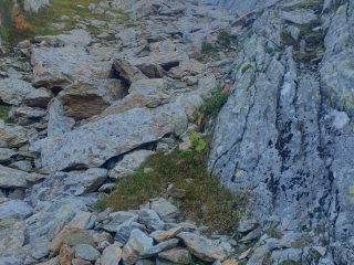 Traversata Servino-Canaussa da Cernisio - Ronco a cura di Giovanni Giovando
