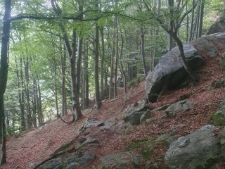 Traversata Servino-Canaussa da Cernisio - Ronco a cura di Giovanni Giovando