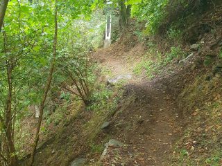 Traversata Servino-Canaussa da Cernisio - Ronco a cura di Giovanni Giovando