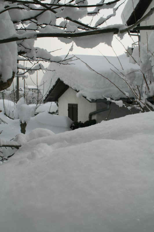 2009_Winter 078