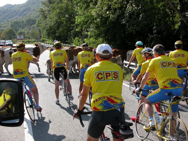 Dscn1864.jpg (95897 byte)