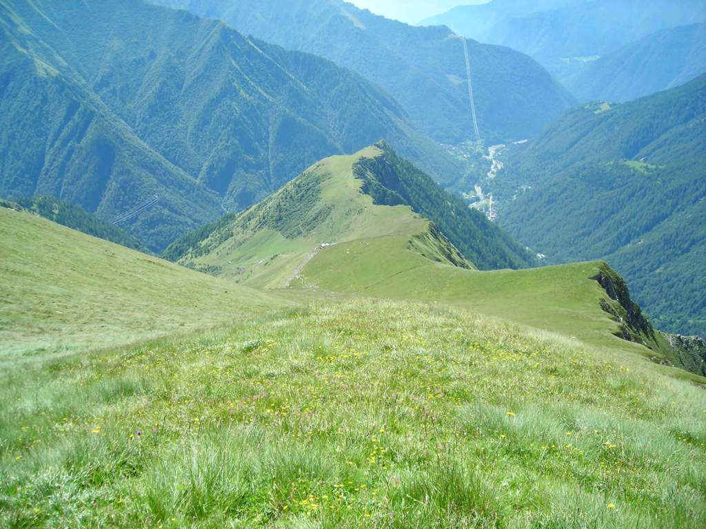 Dalla cresta che scende dal Colle della Borra vista sulla Val Soana