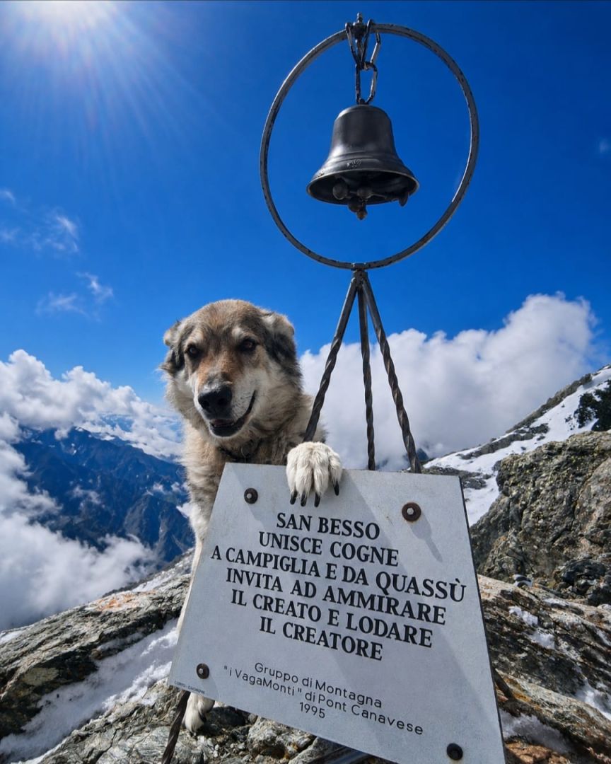 Argo ritorna tra i monti … con Dario al colle Arietta m.2939