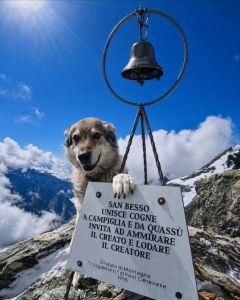 Argo ritorna tra i monti … con Dario al colle Arietta m.2939