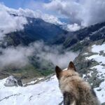 Argo ritorna tra i monti … con Dario al colle Arietta m.2939