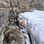 Argo ritorna tra i monti … con Dario al colle Arietta m.2939