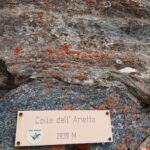 Argo ritorna tra i monti … con Dario al colle Arietta m.2939