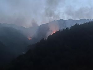 Aggiornamento sull’incendio divampato nella zona sopra Borgata Andorina acura del Sindaco di Valprato