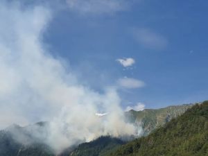VALLE SOANA – Incendio infinito, non bastano elicotteri e canadair: si combatte col fuoco da più di cinque giorni tratto da Quotidiano Canavese