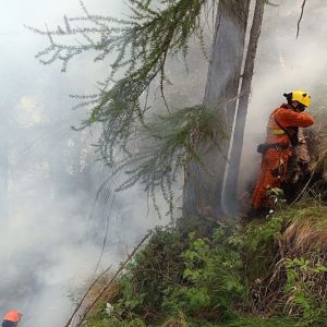 Aggiornamento sull’incendio divampato nella zona sopra Borgata Andorina cura del Comune di Valprato