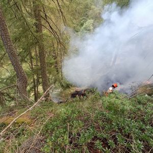 Aggiornamento sull’incendio divampato nella zona sopra Borgata Andorina cura del Comune di Valprato