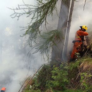 Aggiornamento sull’incendio divampato nella zona sopra Borgata Andorina cura del Comune di Valprato