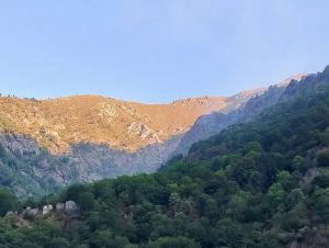 Vigili del fuoco e Aib al lavoro per contrastare gli incendi boschivi in alta quota tratto da Quotidiano Canavese