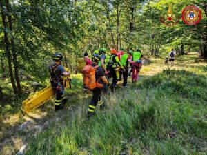 DRAMMA A VALPRATO SOANA - Trovato morto un cercatore di funghi tratto da Quotidiano Canavese