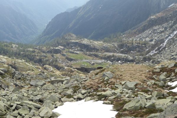 laggiu' il Vasinetto