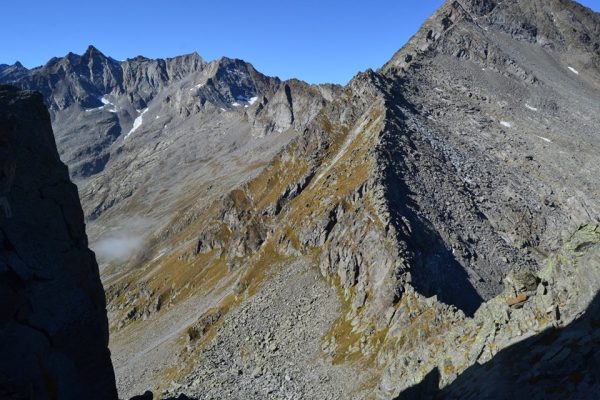 colle cadrega